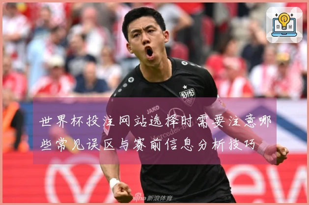 世界杯投注网站选择时需要注意哪些常见误区与赛前信息分析技巧