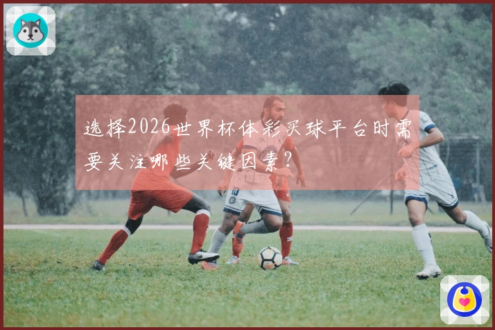 选择2026世界杯体彩买球平台时需要关注哪些关键因素？