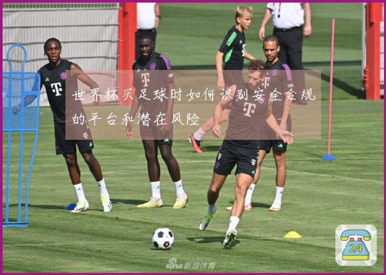 世界杯买足球时如何识别安全合规的平台和潜在风险