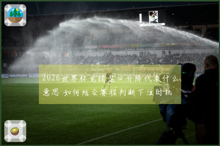 2026世界杯竞猜盘口升降代表什么意思 如何结合赛程判断下注时机