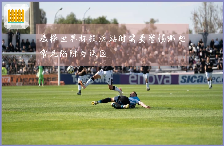选择世界杯投注站时需要警惕哪些常见陷阱与误区