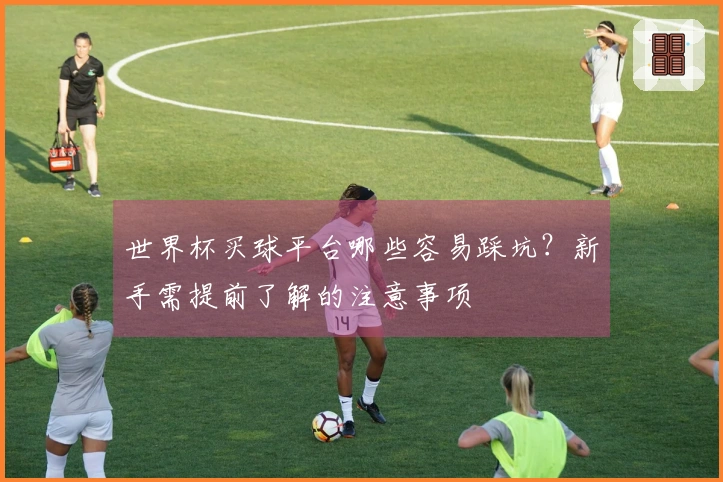 世界杯买球平台哪些容易踩坑？新手需提前了解的注意事项